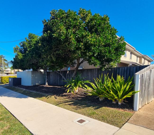 Body Corporate Strata Garden Maintenance Gladstone