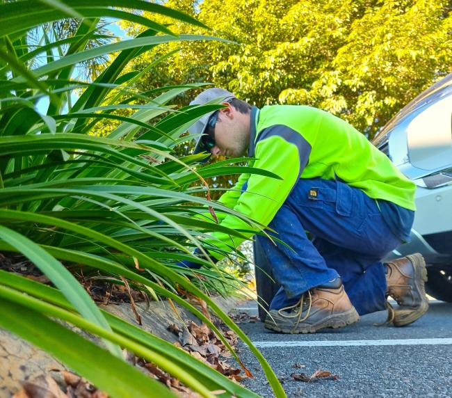 Grounds, Asset and Facilities Maintenance Gladstone